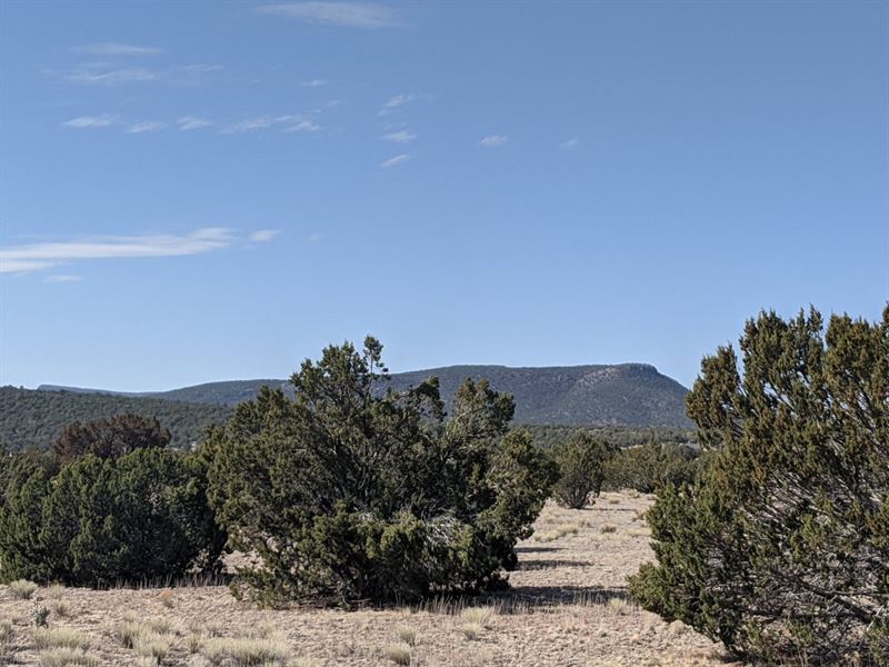 Beautiful Open Land to Enjoy : Seligman : Yavapai County : Arizona