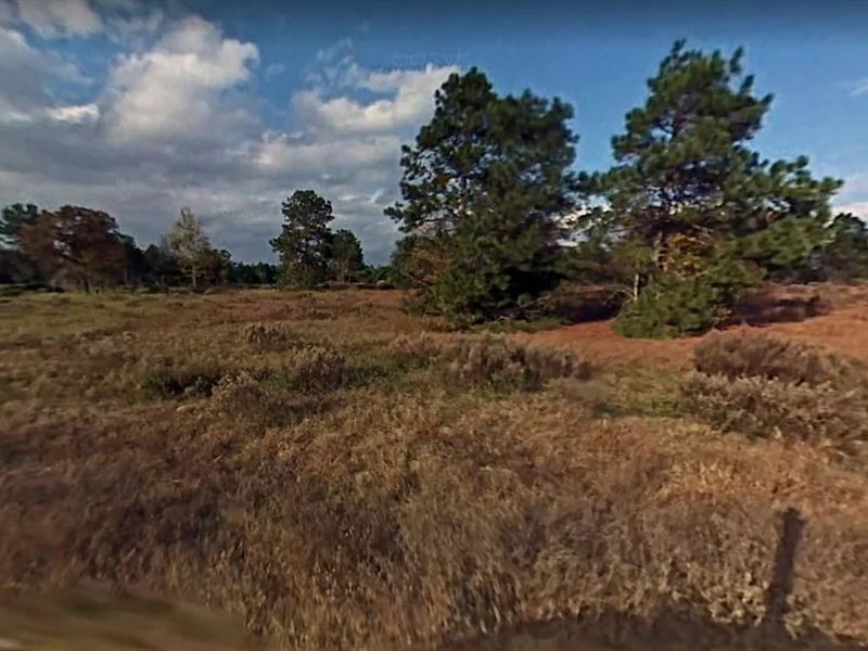 .46 Acres for Sale in Ocala, FL : Ocala : Marion County : Florida