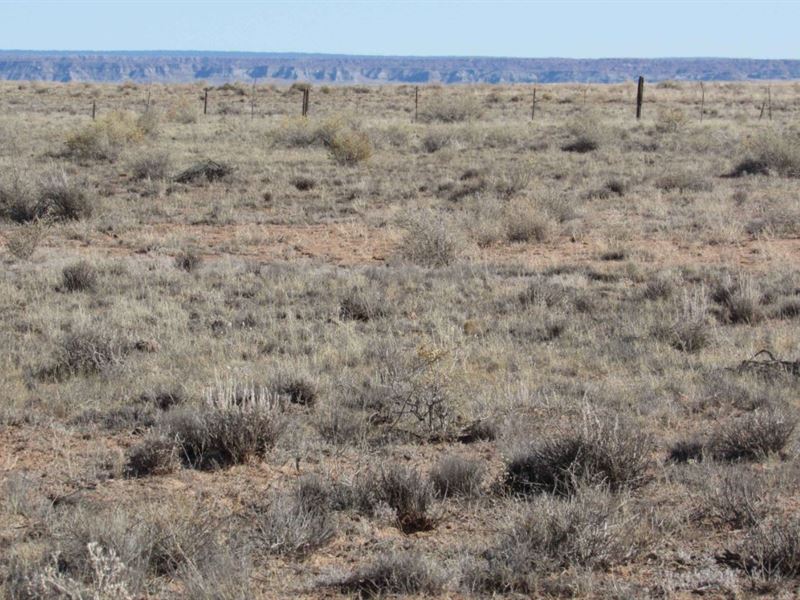 Affordable, Views, Location : Adamana : Apache County : Arizona