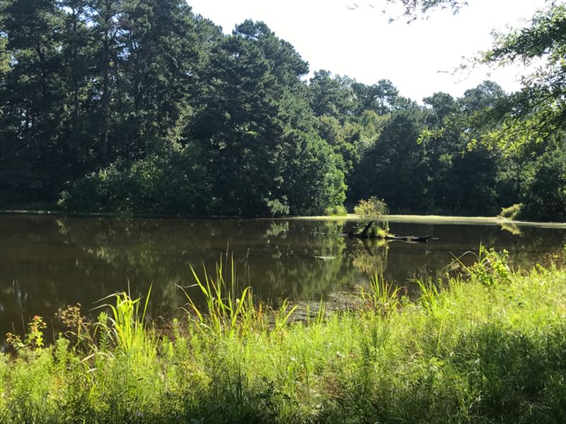 Pearl River's Finest, Arm, MS Land for Sale in Monticello, Lawrence