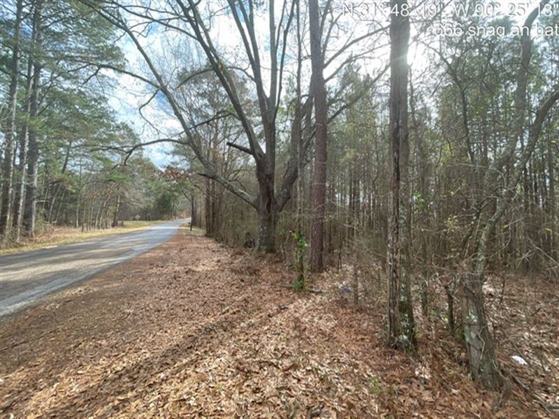 Martinsville Timber : Martinsville : Copiah County : Mississippi