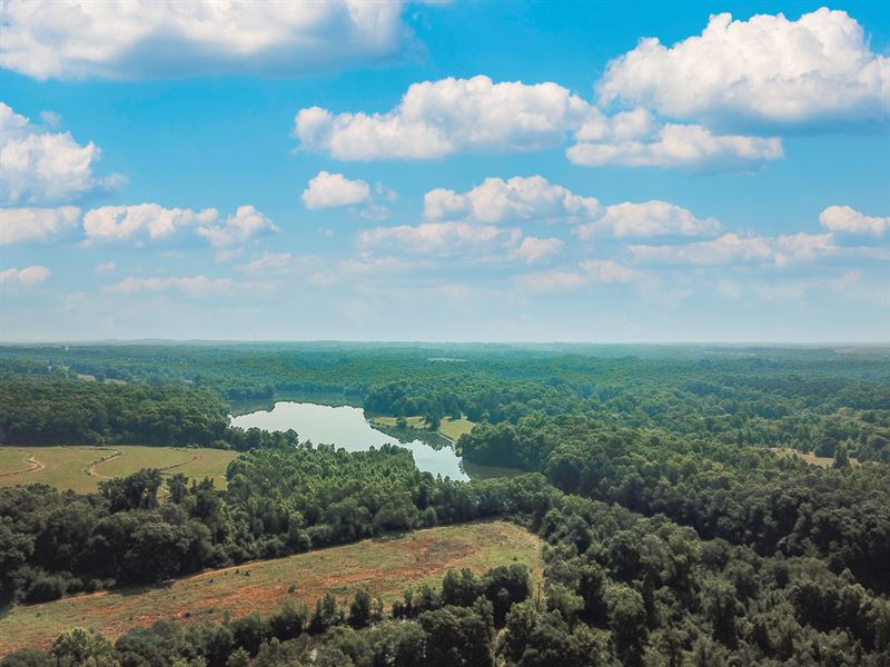 Stoddard Mill Road Farm : Gray Court : Laurens County : South Carolina