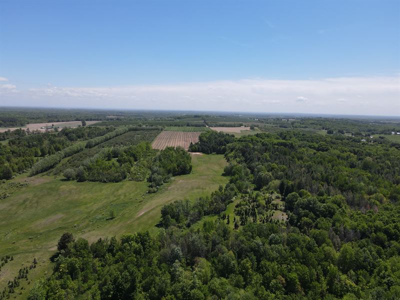64 Ac, 144th Ave, Oceana Co., MI : Hart : Oceana County : Michigan
