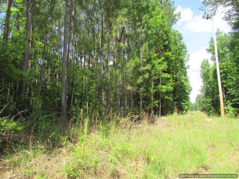 8.33 +/- Acres in Madison County : Camden : Madison County : Mississippi