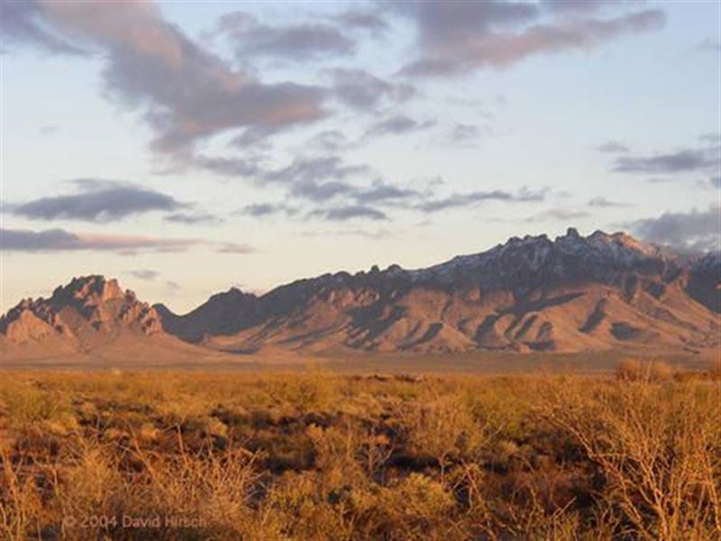 Spectacular Views, Private, Remote : Columbus : Luna County : New Mexico