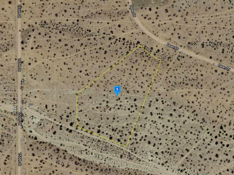 Dream Desert Getaway : California City : Kern County : California