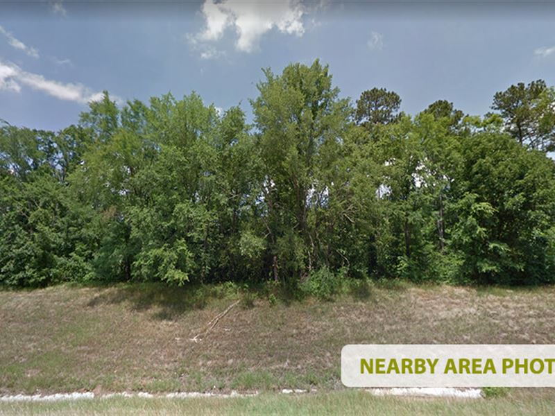 .84 Acres in Greensboro, Georgia : Greensboro : Greene County : Georgia