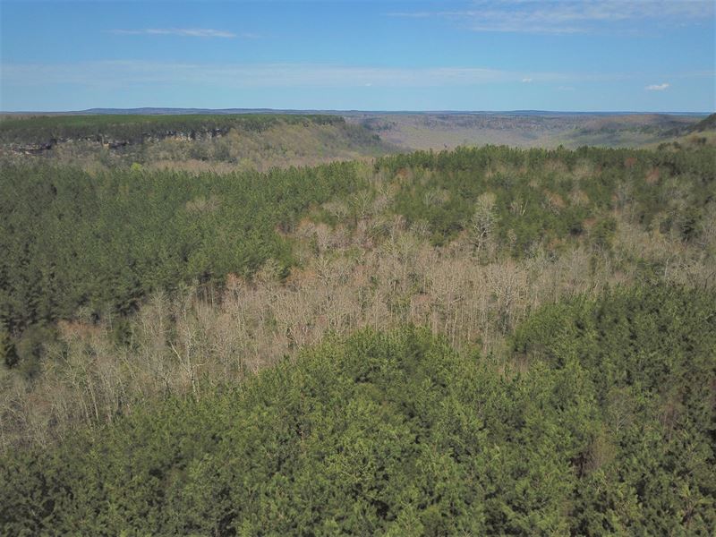 2,367 Acres in Harriman, TN : Harriman : Cumberland County : Tennessee