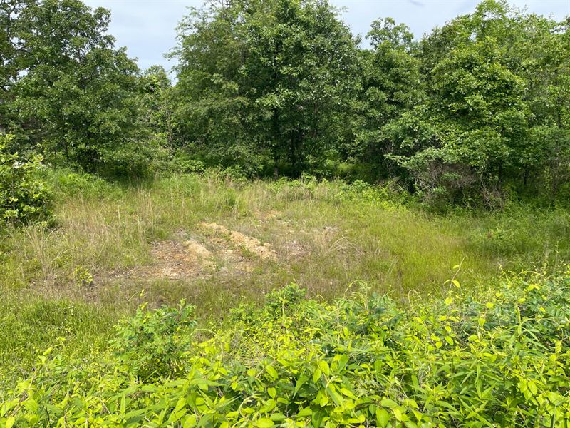 6.1 Acres in Monegaw Springs, MO : Osceola : Saint Clair County : Missouri