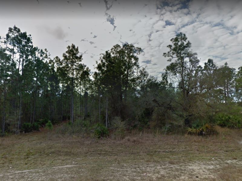 .38 Acres for Sale in Lehigh Acres : Lehigh Acres : Lee County : Florida