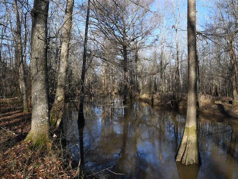 Great Hunting Tract on Cypress Bayo : Ward : Lonoke County : Arkansas