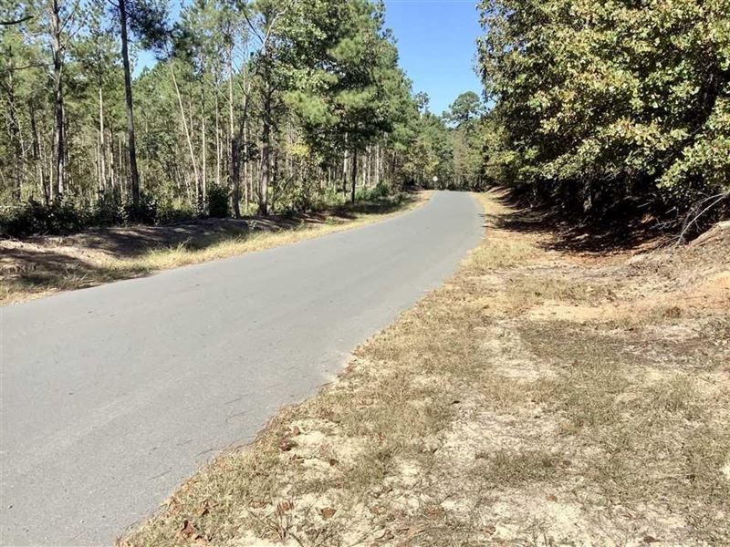 The Mira 45, Caddo Parish, 45 Acres : Mira : Caddo Parish : Louisiana