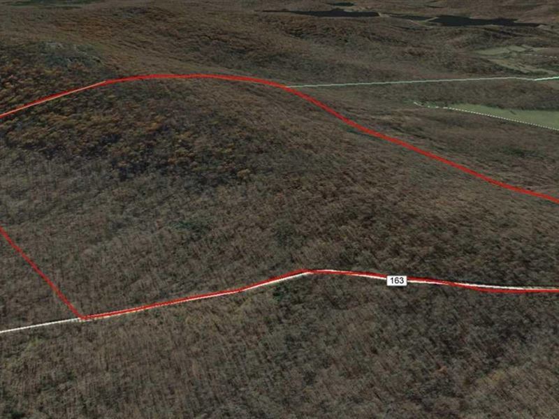 204 Wooded Acres for Sale in Ir : Des Arc : Iron County : Missouri