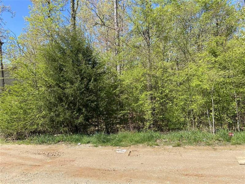 Subdivision Lot for Sale in Poplar : Poplar Bluff : Butler County : Missouri