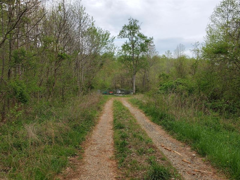 28 Acres Lexington, Davidson Cou : Lexington : Davidson County : North Carolina
