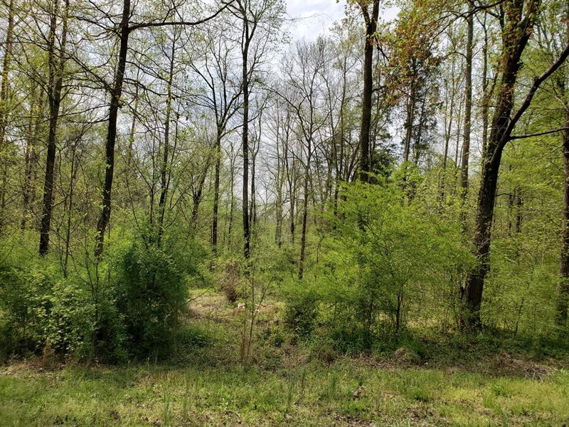 10 Acres Lexington, Davidson Cou : Lexington : Davidson County : North Carolina