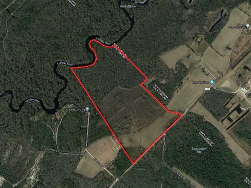 167.47 Acres : Nichols : Horry County : South Carolina