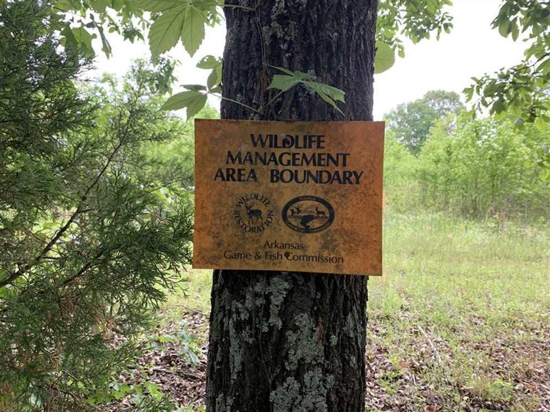 80 Duck, Deer, Wma Border Timber : Russell : White County : Arkansas