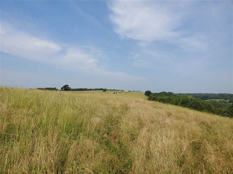 236 Acres Ranch/Hunting Ground : Greenbrier : Faulkner County : Arkansas
