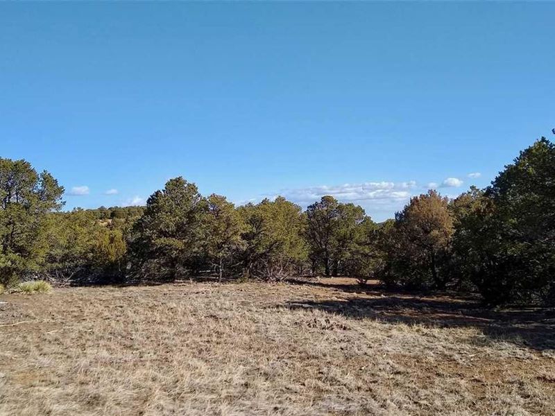 Blackhawk Ranch : Aguilar : Las Animas County : Colorado
