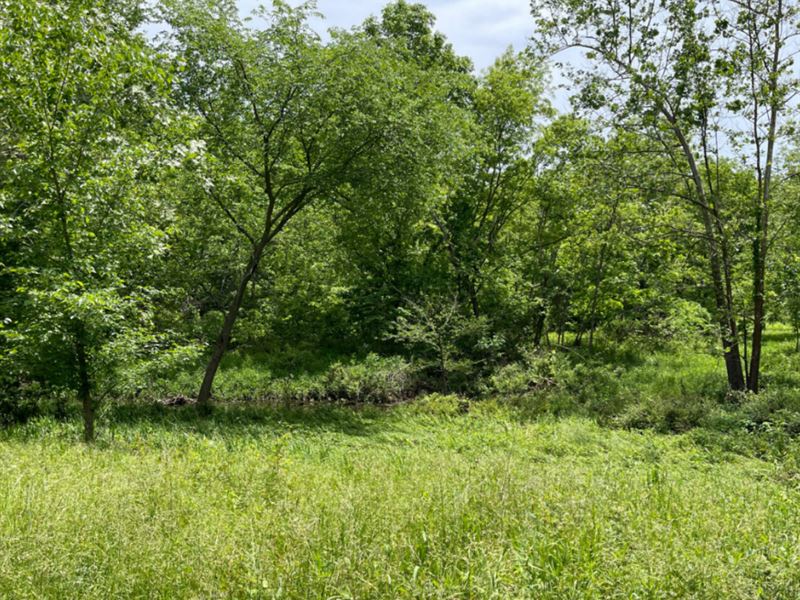 4.29 Acres in Dallas County, MO Land for Sale by Owner in Tunas