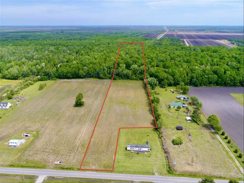 16.7 Acres of Fa : Engelhard : Hyde County : North Carolina