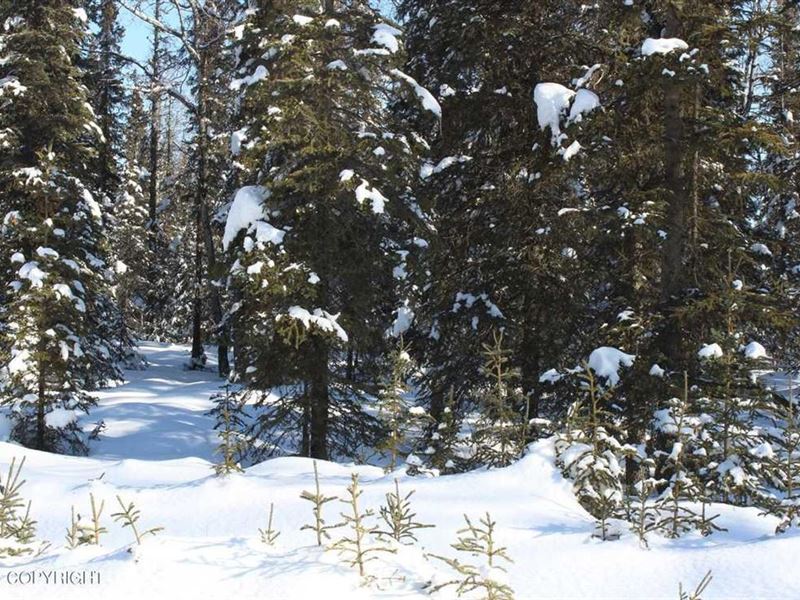 1.02 Acres in Kasilof Close to : Kasilof : Kenai Peninsula Borough : Alaska