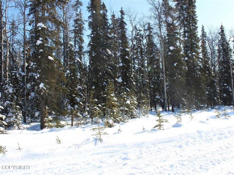 1.02 Acres in Kasilof Near The Rive : Kasilof : Kenai Peninsula Borough : Alaska