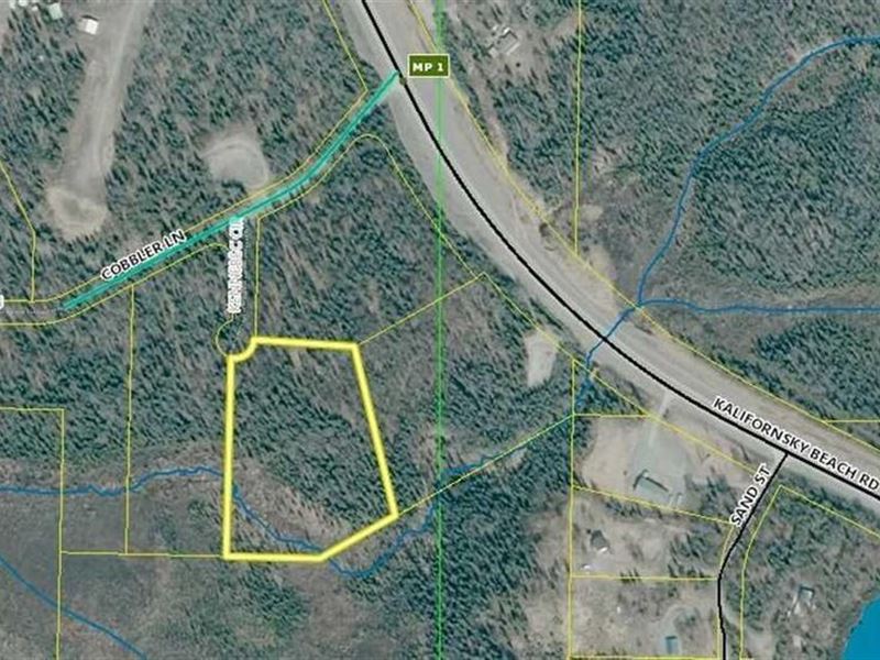 4.75 Acre Lot in Kasilof's Newest : Kasilof : Kenai Peninsula Borough : Alaska