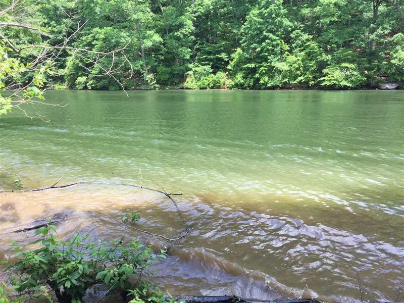 Lot 6 Bankhead Shores with Sipsey : Double Springs : Winston County : Alabama