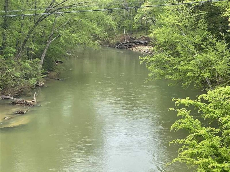 Marion Co, AL Development Property : Hamilton : Marion County : Alabama