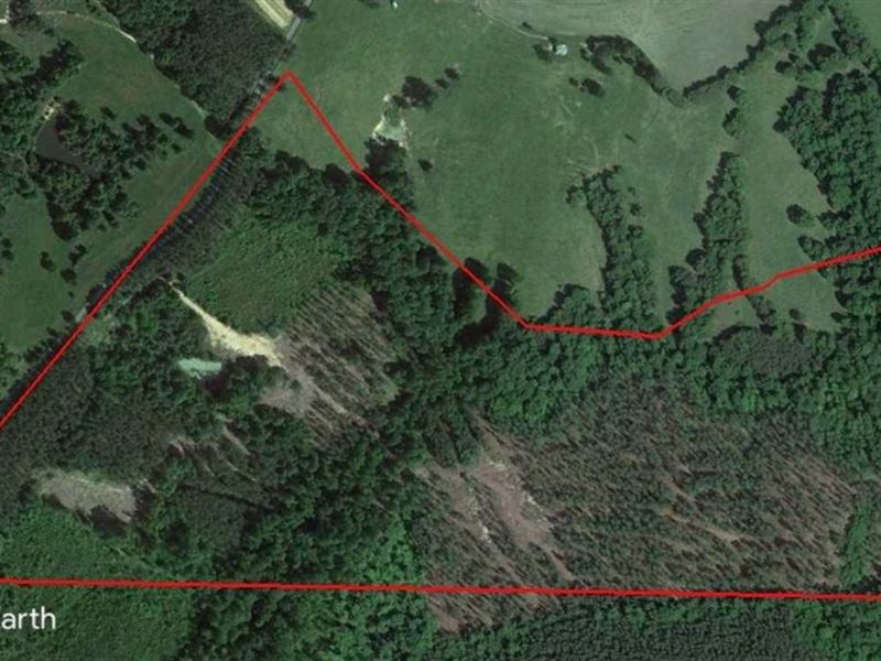 69.82 Acres Of Hunting Land for Sal : Nathalie : Halifax County : Virginia