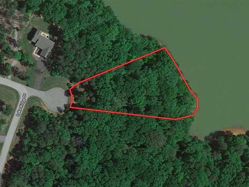 Market Based Price Improvement, 1 : Gretna : Pittsylvania County : Virginia