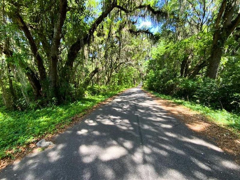 3055 N. SR 53, Madison, FL 32340 : Madison : Madison County : Florida