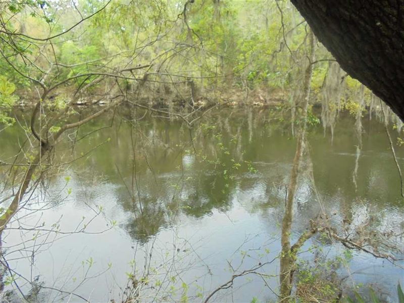 Jones River Lot : Lee : Madison County : Florida