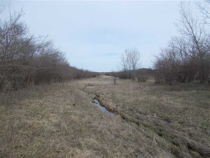 Land For Sale Universal 34 Acres : Universal : Vermillion County : Indiana