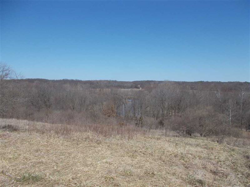 Brouilletts Creek 56 Land For Sale : Clinton : Vermillion County : Indiana