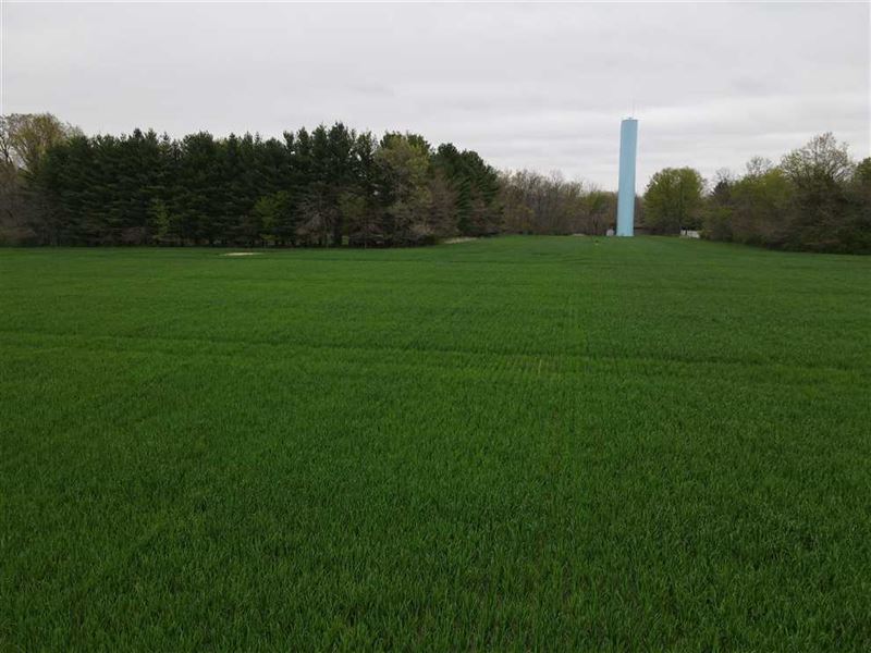 Fairview 8 Acres for Sale : Clinton : Vermillion County : Indiana