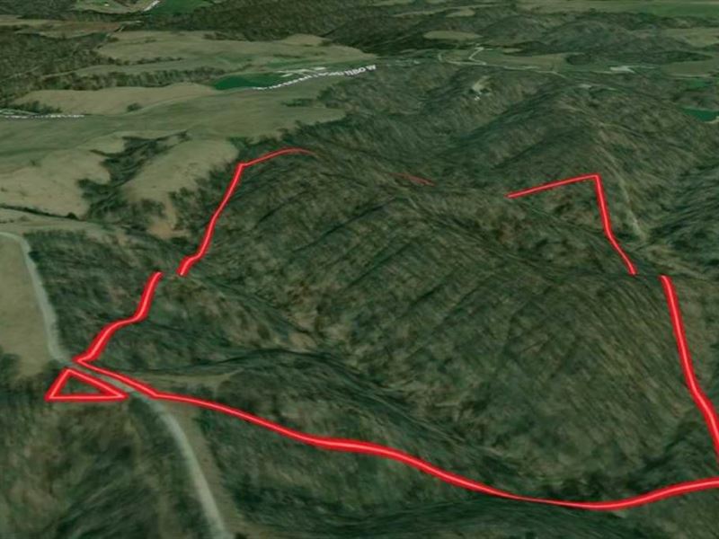 60 Acres of Woods-Co Rd 1175, Jacks : Medora : Jackson County : Indiana