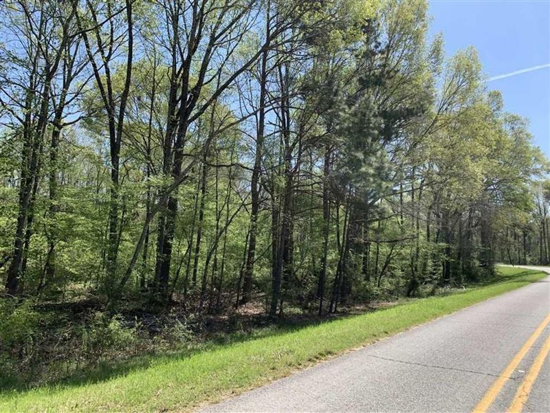 Bird Creek Tract of Caldwell Parish : Columbia : Caldwell Parish : Louisiana
