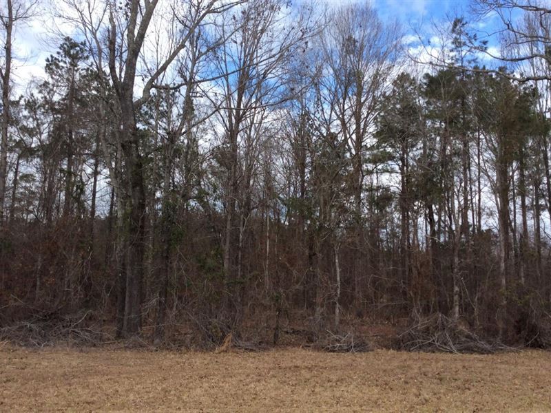 Highway 849 Tract of Caldwell Paris : Grayson : Caldwell Parish : Louisiana