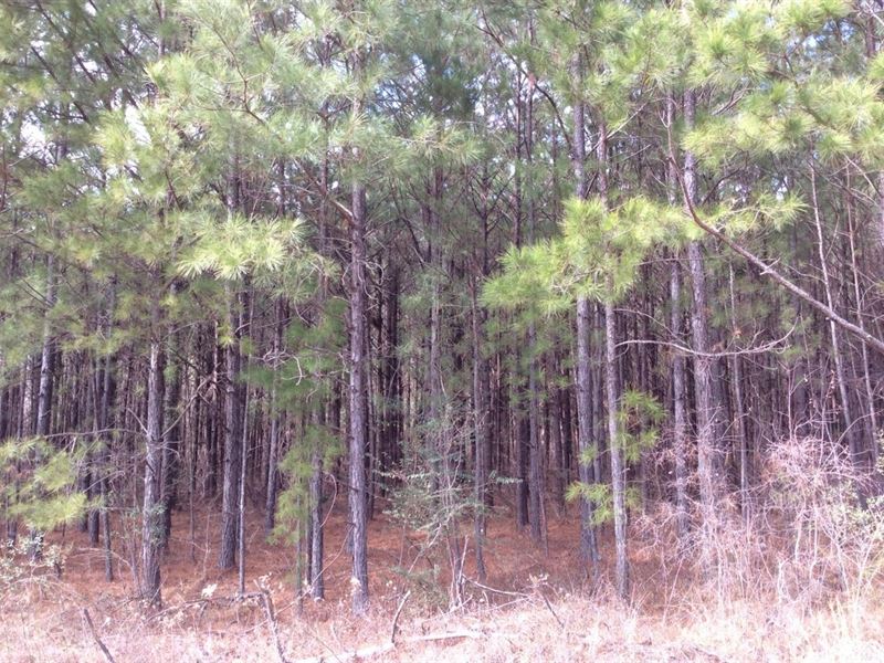 Neathery Road Tract of Caldwell Par : Grayson : Caldwell Parish : Louisiana