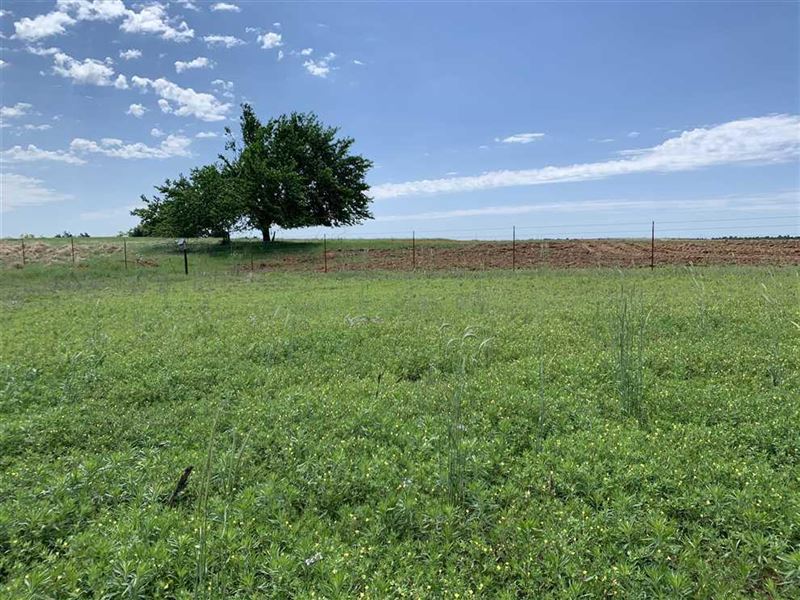 Super Nice Acreage with A Pond, 80 : Anadarko : Caddo County : Oklahoma
