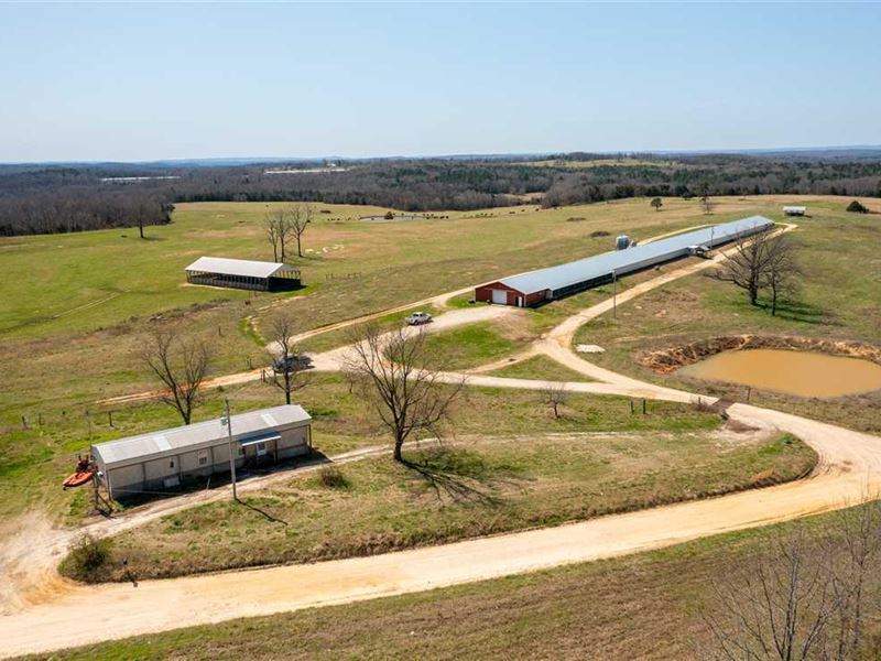 40X650 Peco Breeder Farm, 20 Acr : Cave City : Sharp County : Arkansas