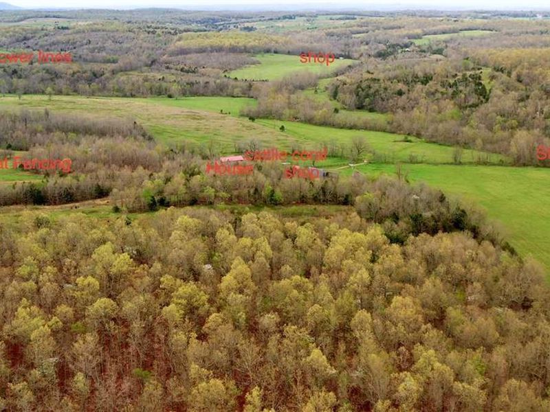 House, Shops, Barn, 20 Ac Goat : Salem : Fulton County : Arkansas