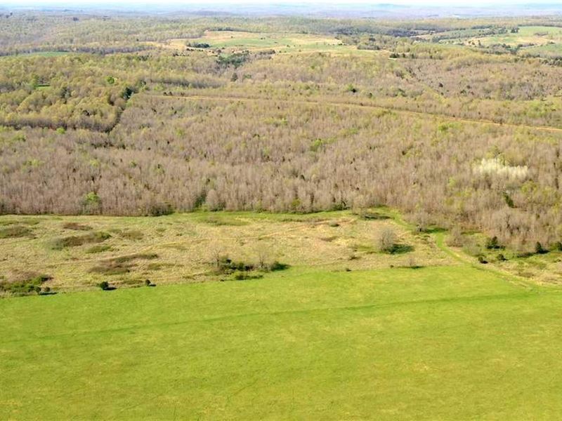 130 Acres, Incredible Strawberr : Salem : Fulton County : Arkansas