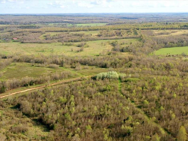 100 Acres, Hunters Paradise, Fe : Salem : Fulton County : Arkansas