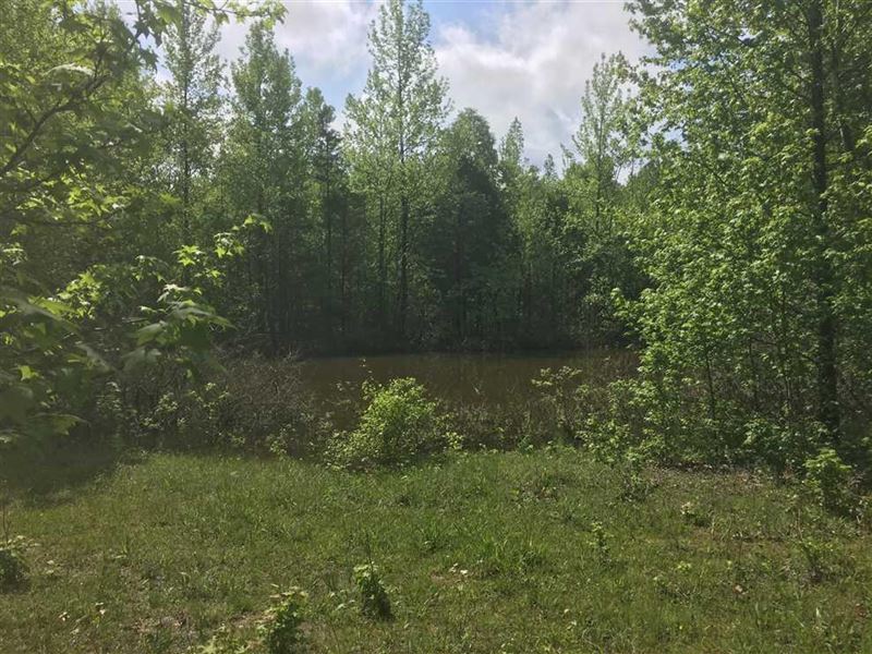 House Place, Creek, Pond, Pasture : Cave City : Sharp County : Arkansas