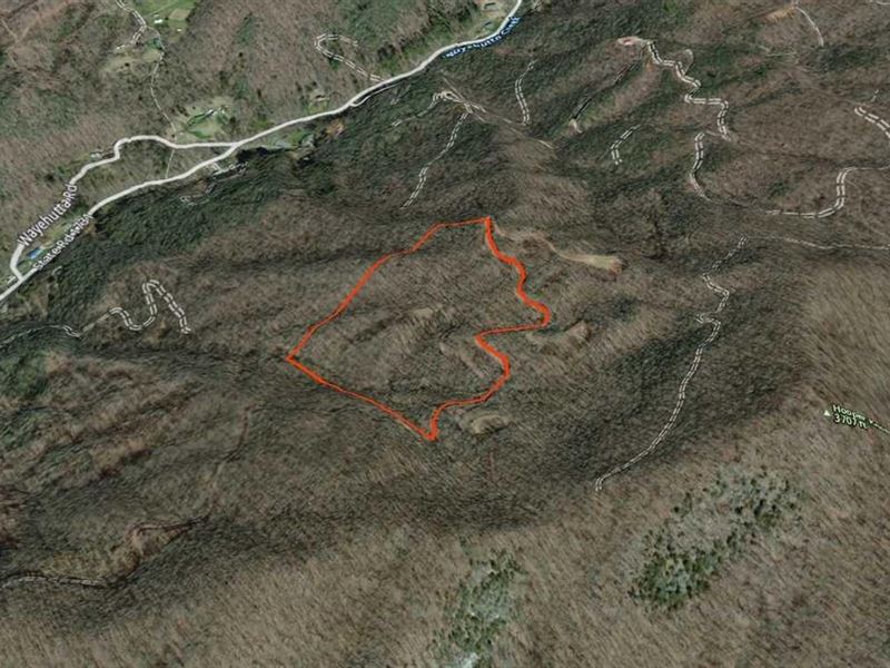 17 Ac Surrounded By Conservation : Cullowhee : Jackson County : North Carolina