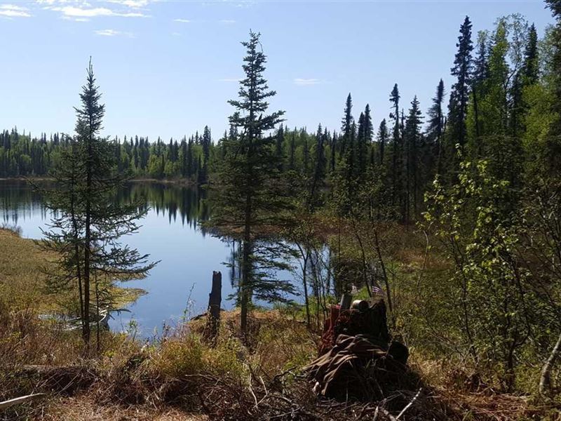 3.77 Acres Remote Land, Trapper Cre : Trapper Creek : Matanuska-Susitna Borough : Alaska